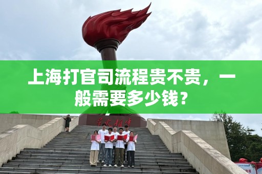 上海打官司流程贵不贵，一般需要多少钱？