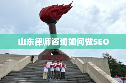 山东律师咨询如何做SEO