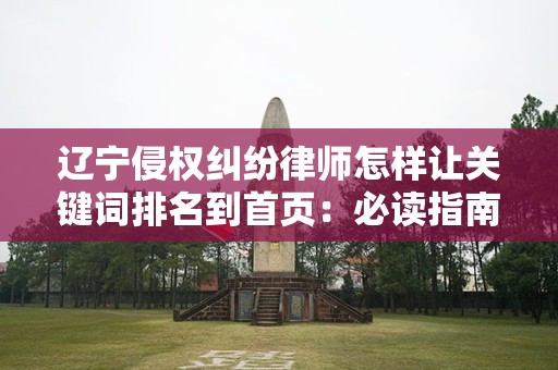 辽宁侵权纠纷律师怎样让关键词排名到首页：必读指南