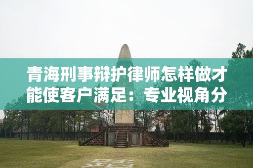青海刑事辩护律师怎样做才能使客户满足：专业视角分析