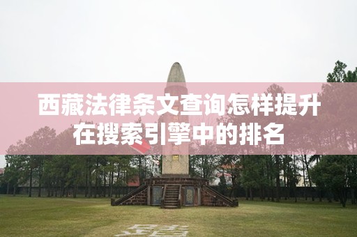 西藏法律条文查询怎样提升在搜索引擎中的排名