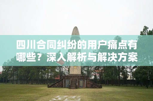 四川合同纠纷的用户痛点有哪些？深入解析与解决方案