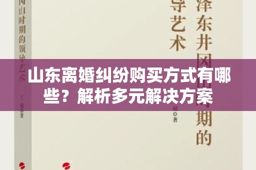 山东离婚纠纷购买方式有哪些？解析多元解决方案