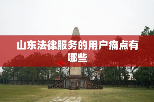 山东法律服务的用户痛点有哪些