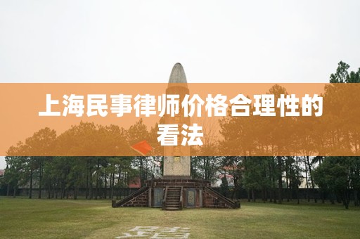 上海民事律师价格合理性的看法