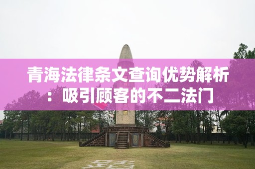 青海法律条文查询优势解析：吸引顾客的不二法门