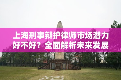 上海刑事辩护律师市场潜力好不好？全面解析未来发展趋势