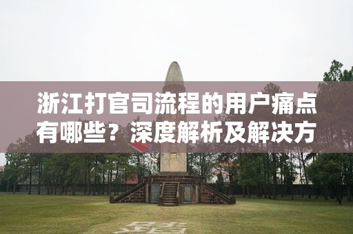 浙江打官司流程的用户痛点有哪些？深度解析及解决方案