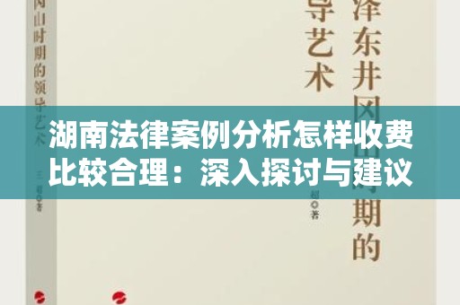 湖南法律案例分析怎样收费比较合理：深入探讨与建议