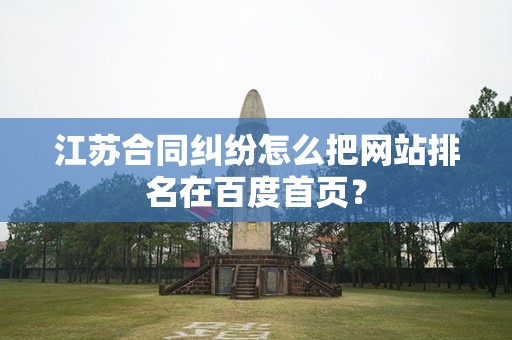 江苏合同纠纷怎么把网站排名在百度首页？