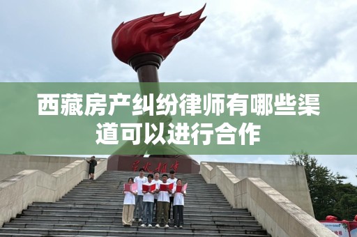 西藏房产纠纷律师有哪些渠道可以进行合作