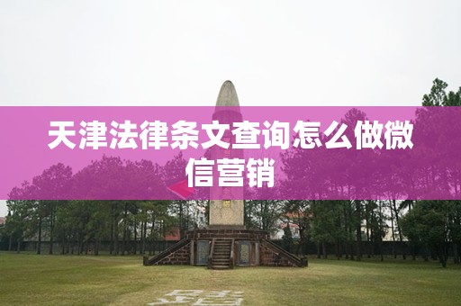 天津法律条文查询怎么做微信营销