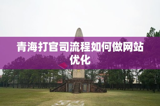 青海打官司流程如何做网站优化