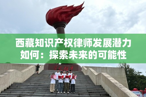 西藏知识产权律师发展潜力如何：探索未来的可能性