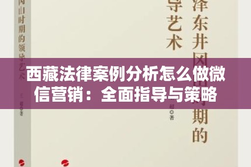 西藏法律案例分析怎么做微信营销：全面指导与策略