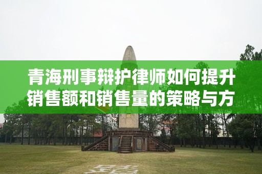 青海刑事辩护律师如何提升销售额和销售量的策略与方法