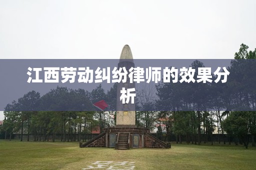 江西劳动纠纷律师的效果分析