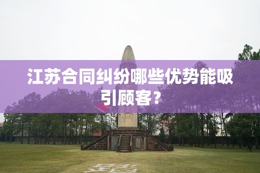 江苏合同纠纷哪些优势能吸引顾客？