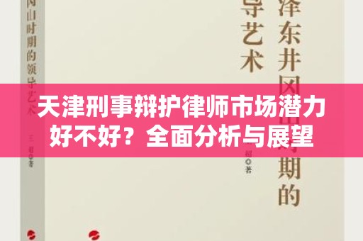 天津刑事辩护律师市场潜力好不好？全面分析与展望