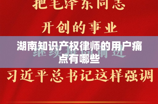 湖南知识产权律师的用户痛点有哪些