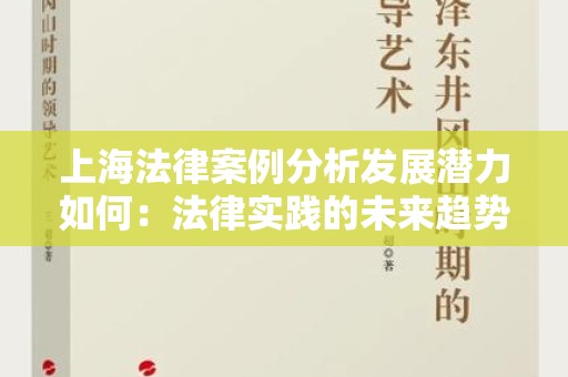 上海法律案例分析发展潜力如何：法律实践的未来趋势
