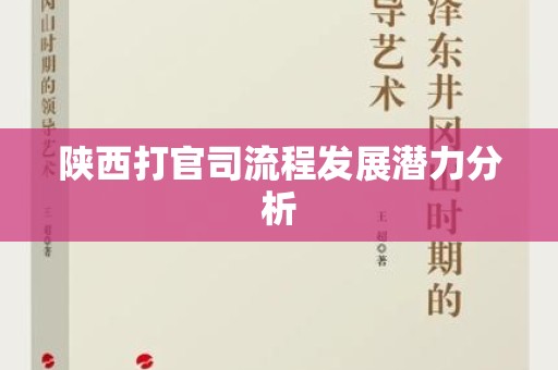 陕西打官司流程发展潜力分析