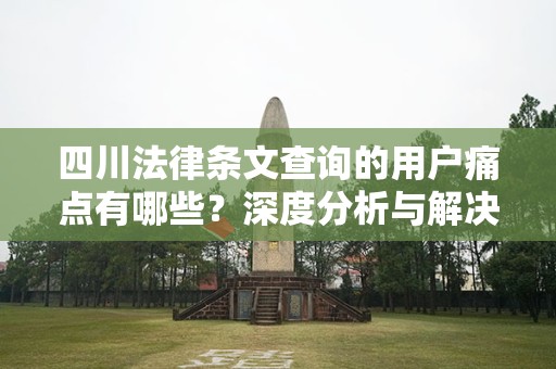 四川法律条文查询的用户痛点有哪些？深度分析与解决方案