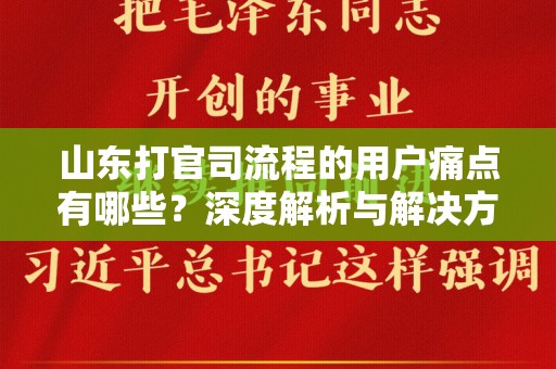 山东打官司流程的用户痛点有哪些？深度解析与解决方案