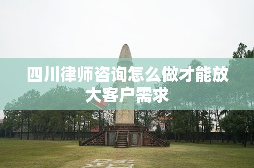 四川律师咨询怎么做才能放大客户需求
