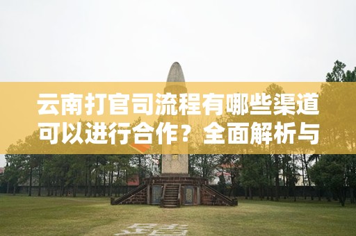 云南打官司流程有哪些渠道可以进行合作？全面解析与实用指南