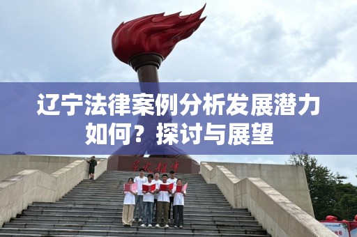 辽宁法律案例分析发展潜力如何？探讨与展望