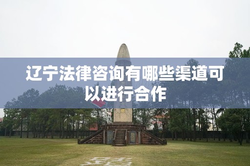 辽宁法律咨询有哪些渠道可以进行合作