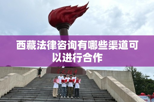 西藏法律咨询有哪些渠道可以进行合作