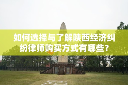 如何选择与了解陕西经济纠纷律师购买方式有哪些？