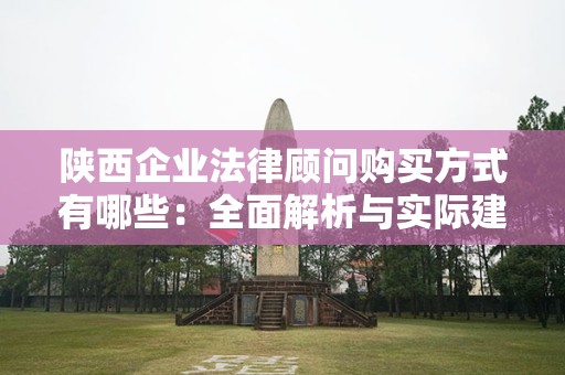 陕西企业法律顾问购买方式有哪些：全面解析与实际建议