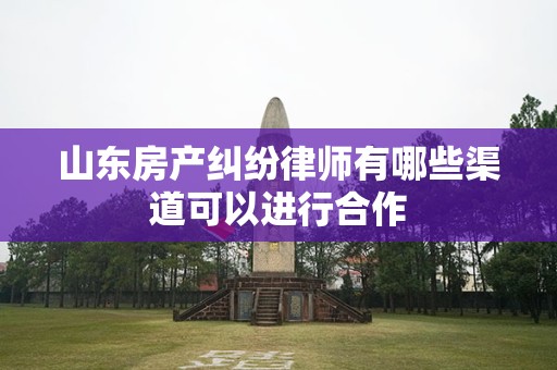 山东房产纠纷律师有哪些渠道可以进行合作
