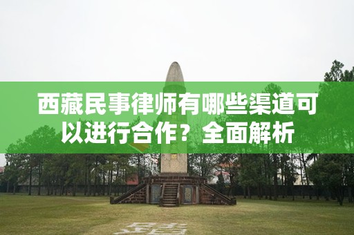 西藏民事律师有哪些渠道可以进行合作？全面解析