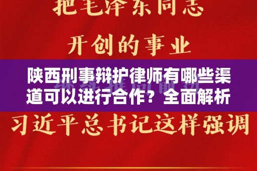 陕西刑事辩护律师有哪些渠道可以进行合作？全面解析与详尽指南
