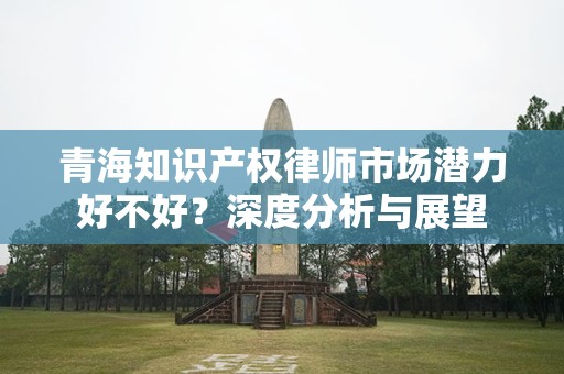 青海知识产权律师市场潜力好不好？深度分析与展望