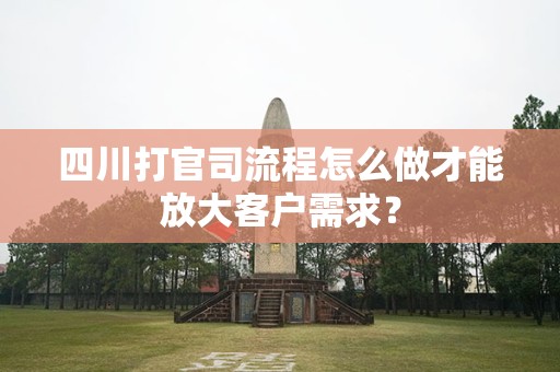 四川打官司流程怎么做才能放大客户需求？