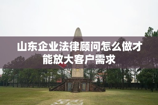 山东企业法律顾问怎么做才能放大客户需求
