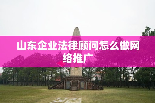 山东企业法律顾问怎么做网络推广