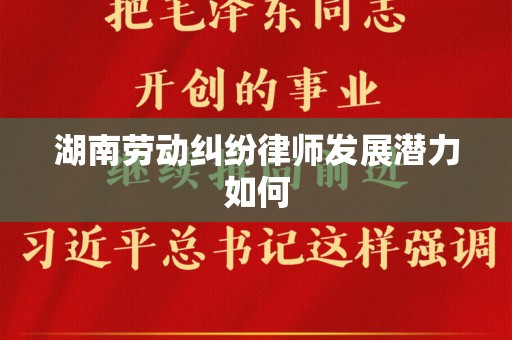 湖南劳动纠纷律师发展潜力如何