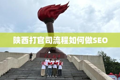 陕西打官司流程如何做SEO