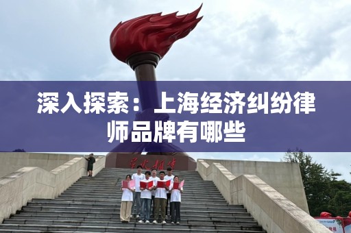 深入探索：上海经济纠纷律师品牌有哪些