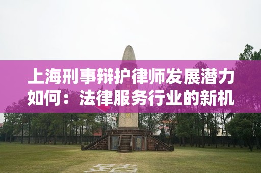 上海刑事辩护律师发展潜力如何：法律服务行业的新机遇
