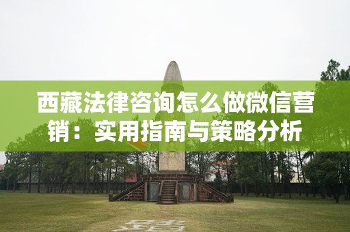 西藏法律咨询怎么做微信营销：实用指南与策略分析