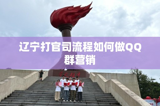 辽宁打官司流程如何做QQ群营销