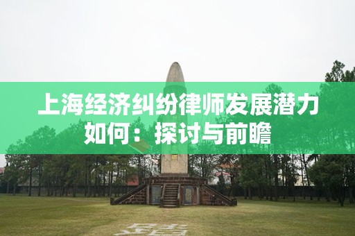 上海经济纠纷律师发展潜力如何：探讨与前瞻