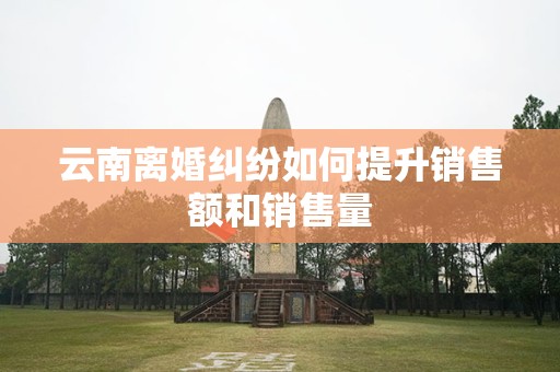 云南离婚纠纷如何提升销售额和销售量